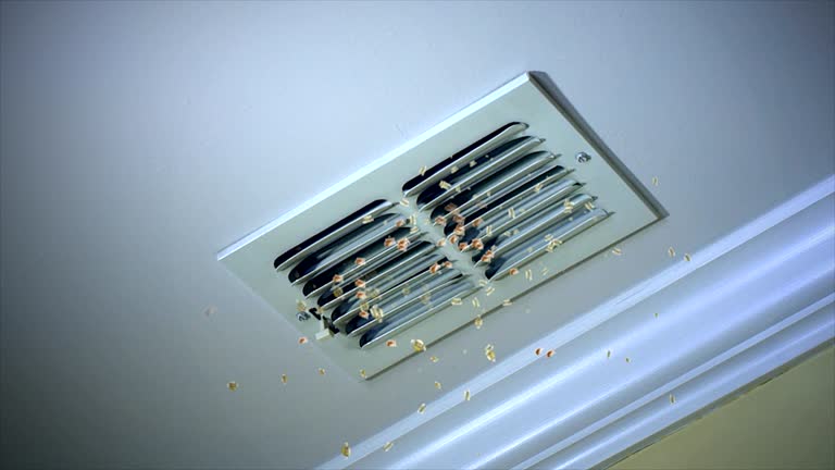 Ductwork Cleaning Services in Warren, IL