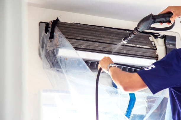 Best Air Duct Sanitizing Services  in Warren, IL